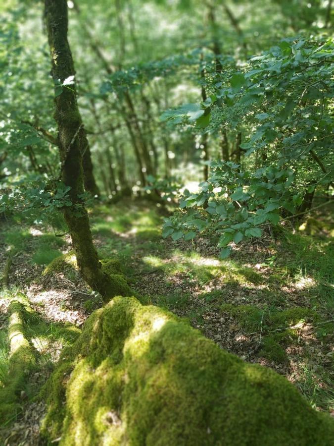 Gite De Pleine Nature En Dordogne Villa Saint-Mesmin  Ngoại thất bức ảnh