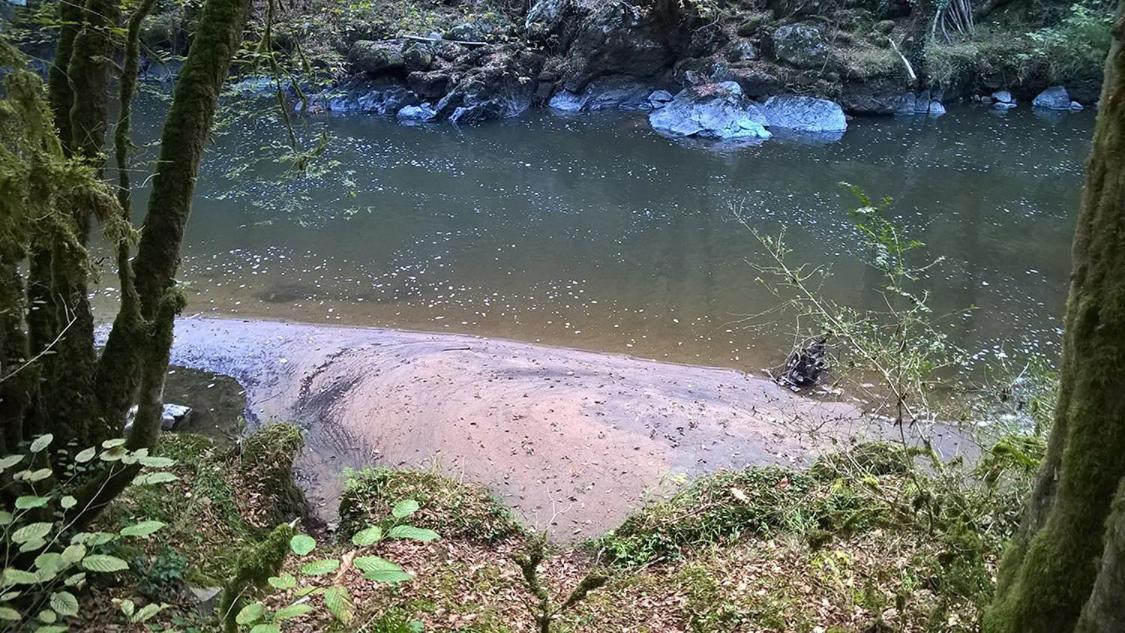 Gite De Pleine Nature En Dordogne Villa Saint-Mesmin  Ngoại thất bức ảnh