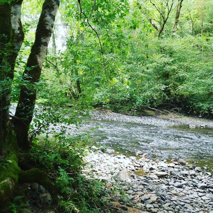 Gite De Pleine Nature En Dordogne Villa Saint-Mesmin  Ngoại thất bức ảnh