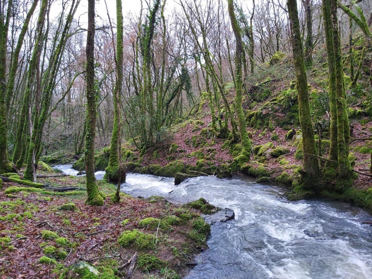 Gite De Pleine Nature En Dordogne Villa Saint-Mesmin  Ngoại thất bức ảnh